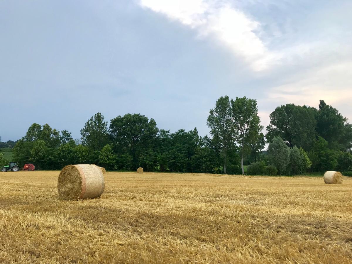 ホテルAgriturismo Corte Salandini ポンティ・スル・ミンチョ エクステリア 写真